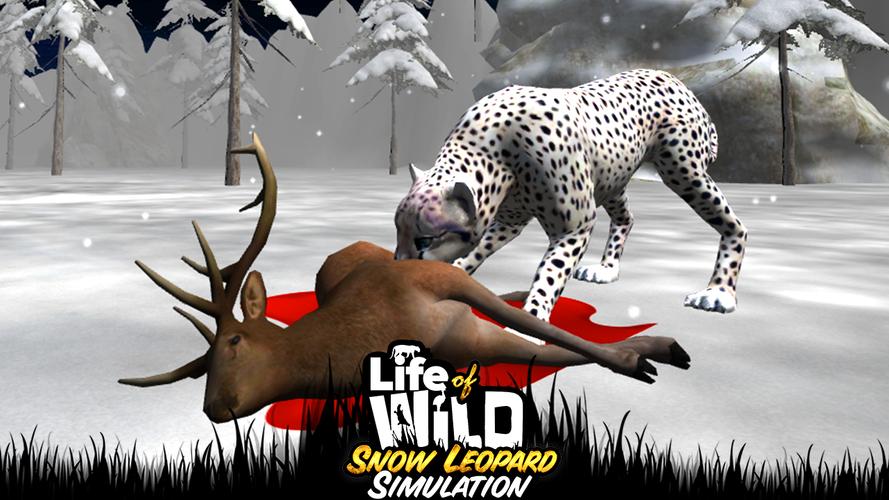 Life of Wild Snow Leopard 3D