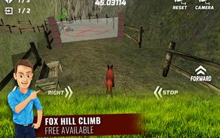 Fox Hill Climb