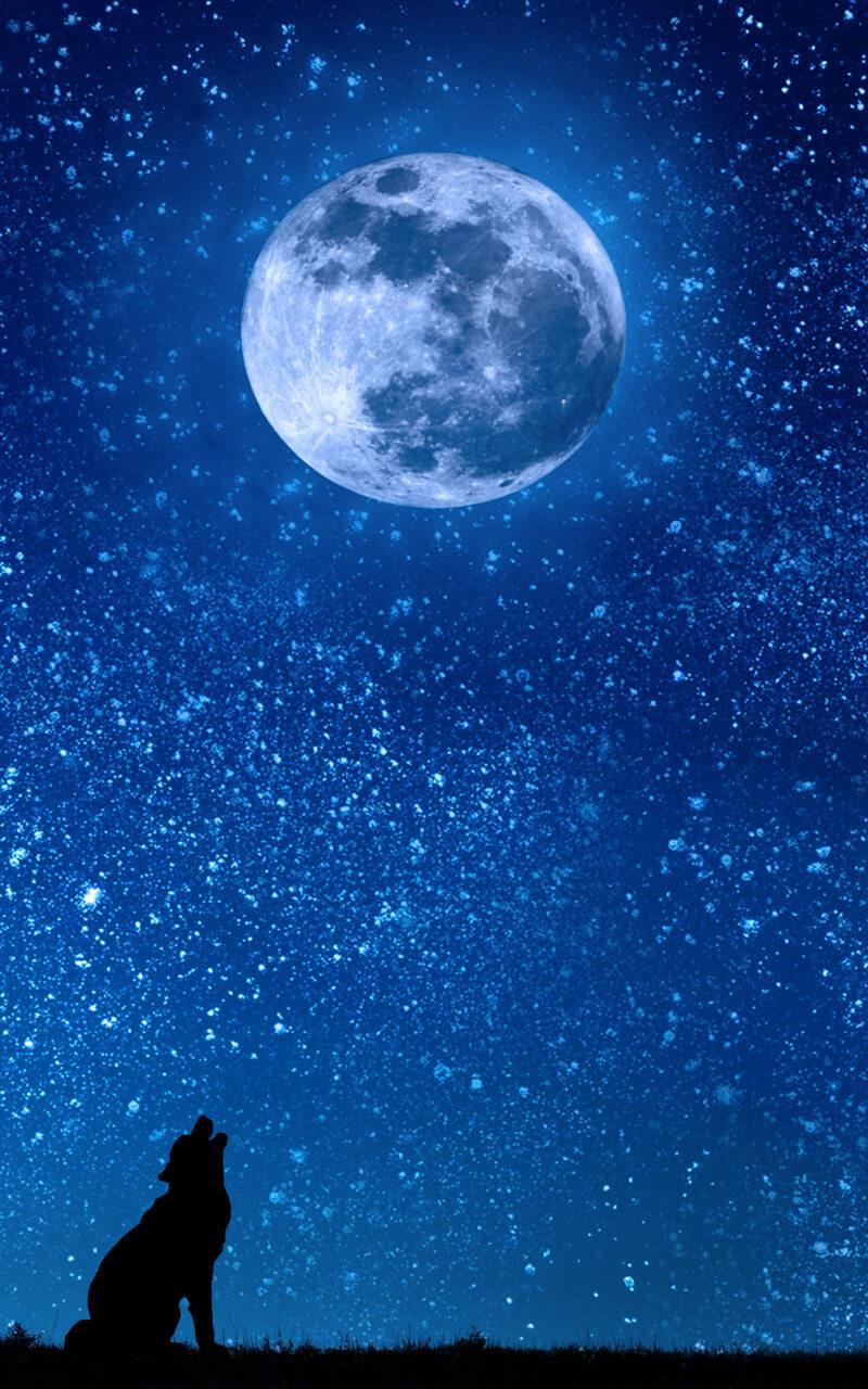 Moonlight Live Wallpaper