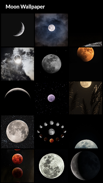 Moon Wallpapers