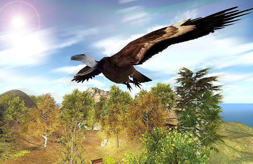 Vulture Attack Simulator