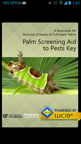 Palm Screening Aid Key