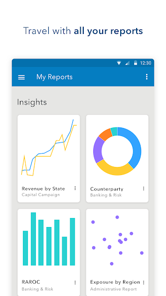 SAS Visual Analytics