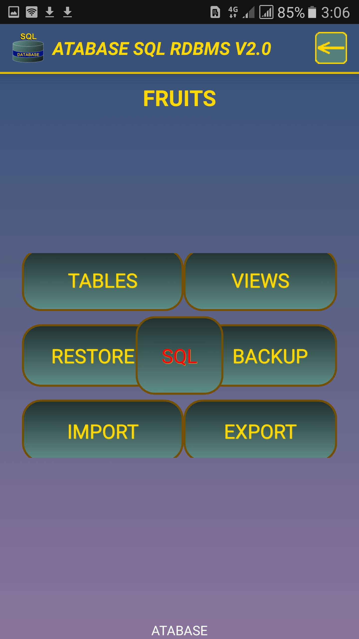 SQL relational database system