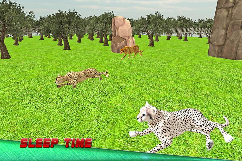 Wild Angry Cheetah Simulator