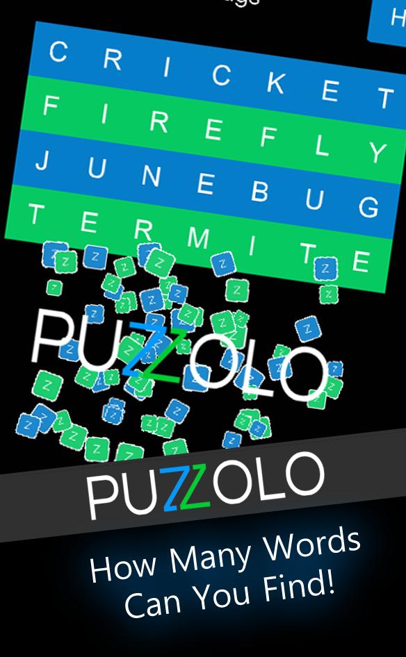 Puzzolo