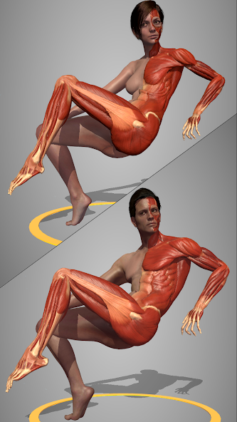 Action Anatomy Lite