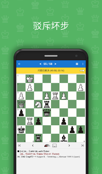 Elementary Chess Tactics 2