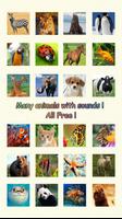 Baby Learning Card - Animal