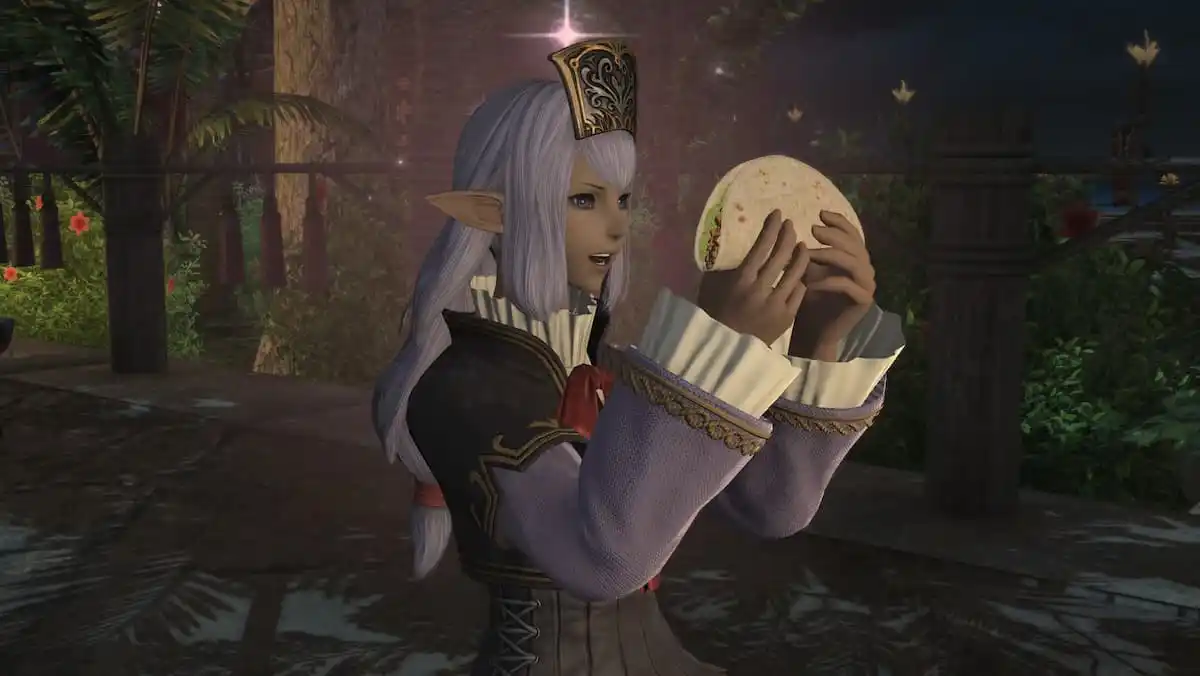 FFXIV: أصداء Vana'diel تجعلني حنينًا ولا ألعب حتى FFXI
