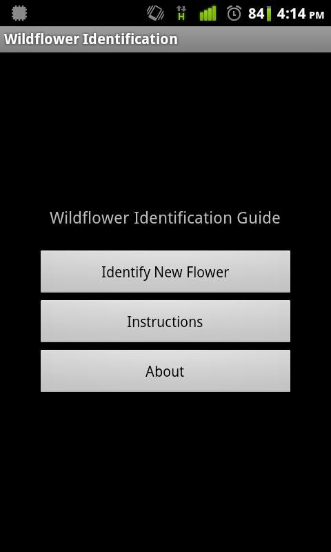 Wildflower Identification