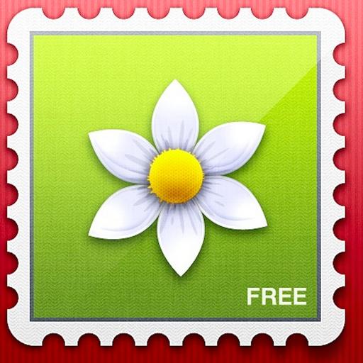 Florist Now - Send Flower