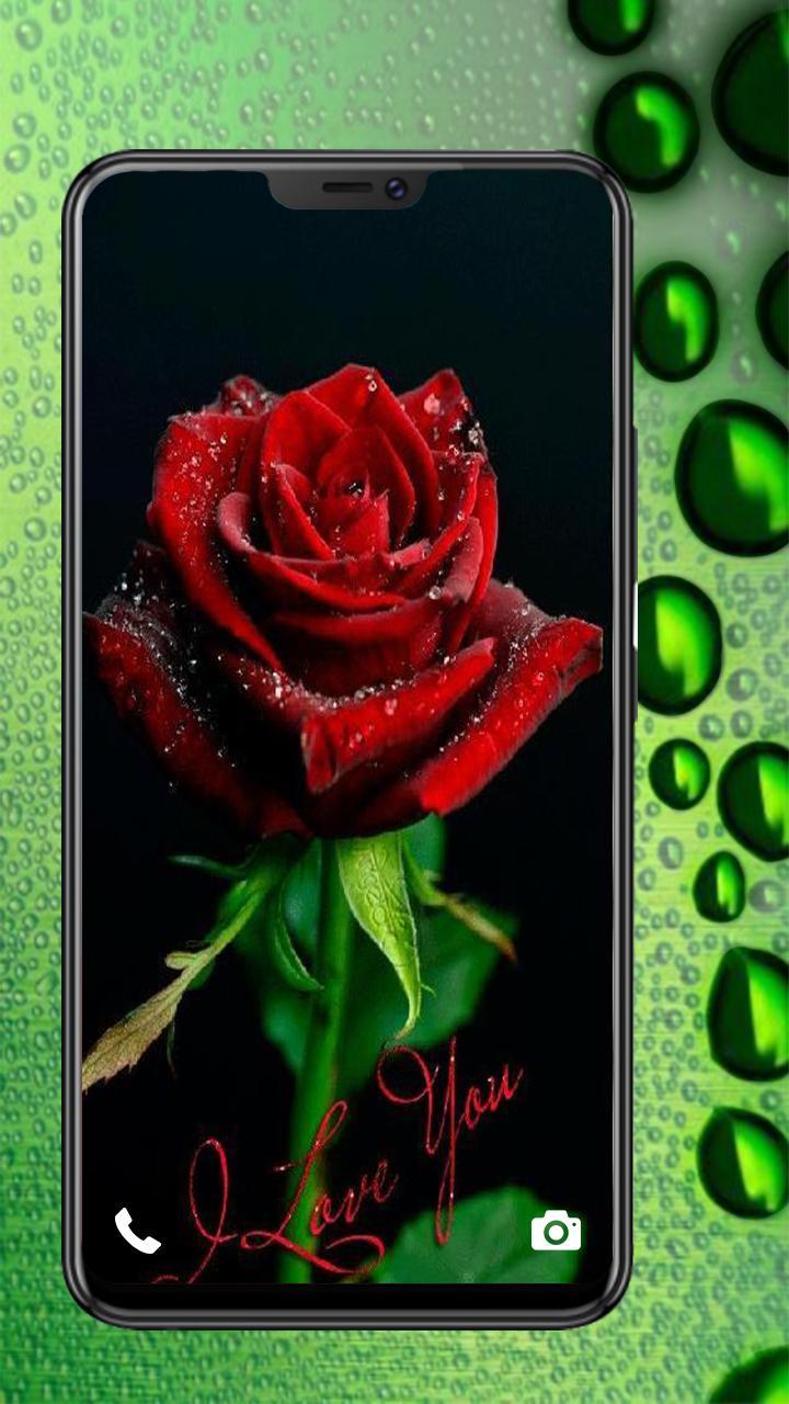 say i love you wallpapers and