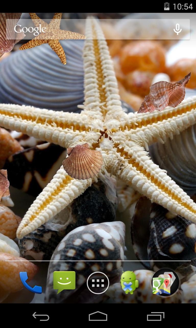 Sea shells Live Wallpaper