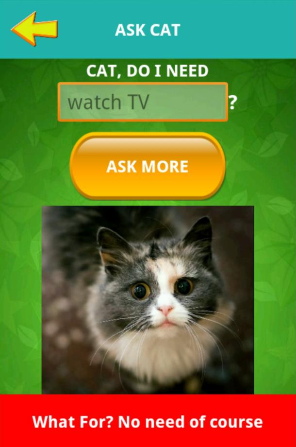 Ask cat helper simulator