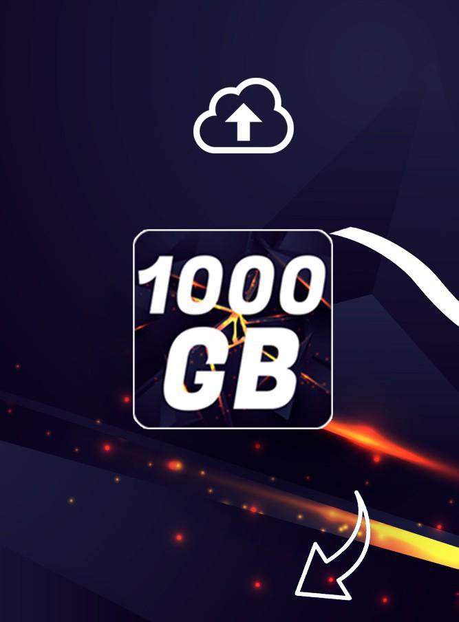 1000 GB cloud backup