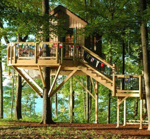 Tree House Designs