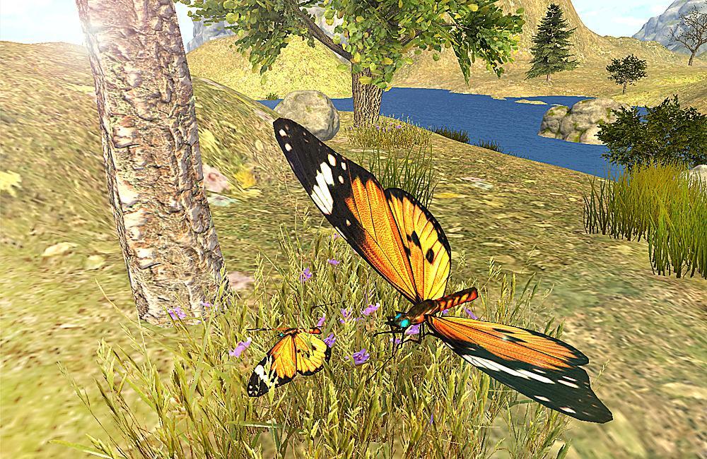 Butterfly 3D Simulator