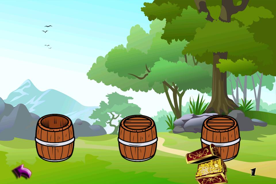 Pirate Treasure Hunt Madness