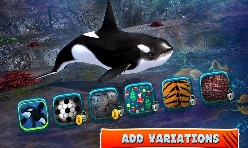 Killer Whale Beach Attack 3D