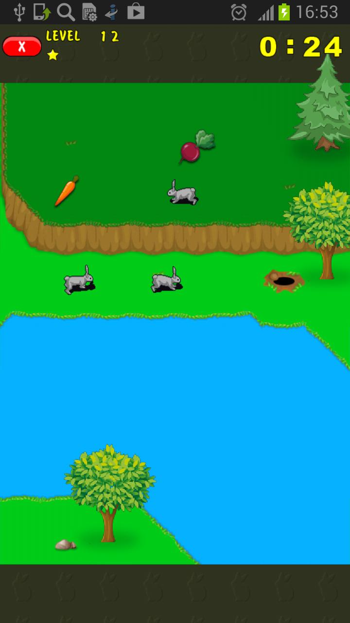 Rabbits. Memory and count