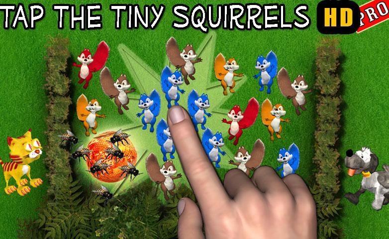 Tap the Squirrel HD Pro
