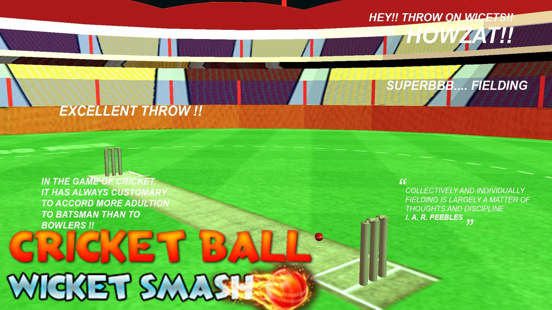 cricket bowling 3d 2017