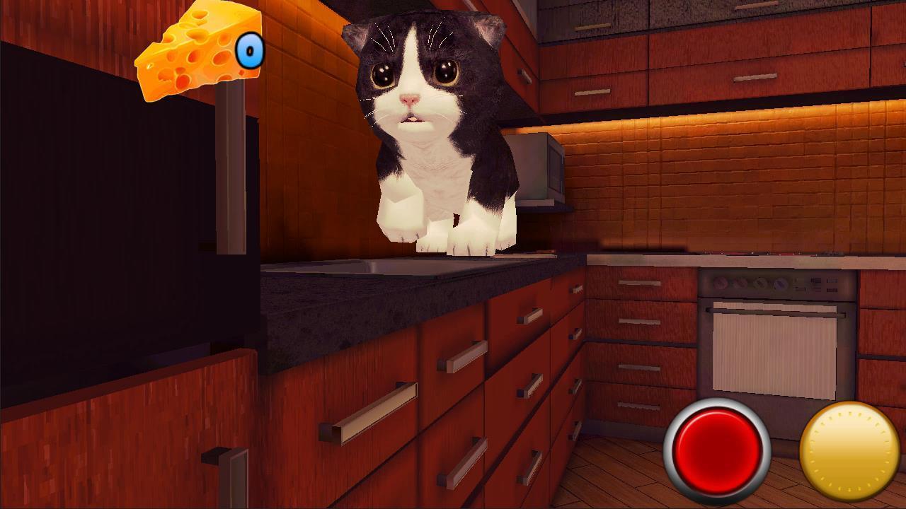 The Cat and the Mouse