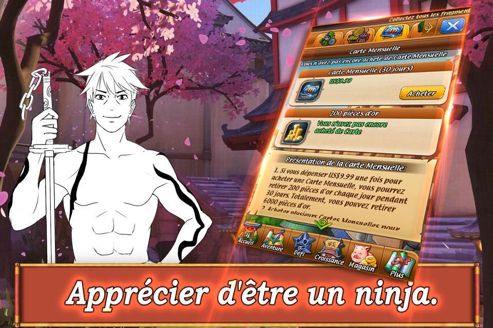 Ninja: Age d'or