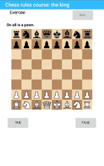 Chess rules part 3